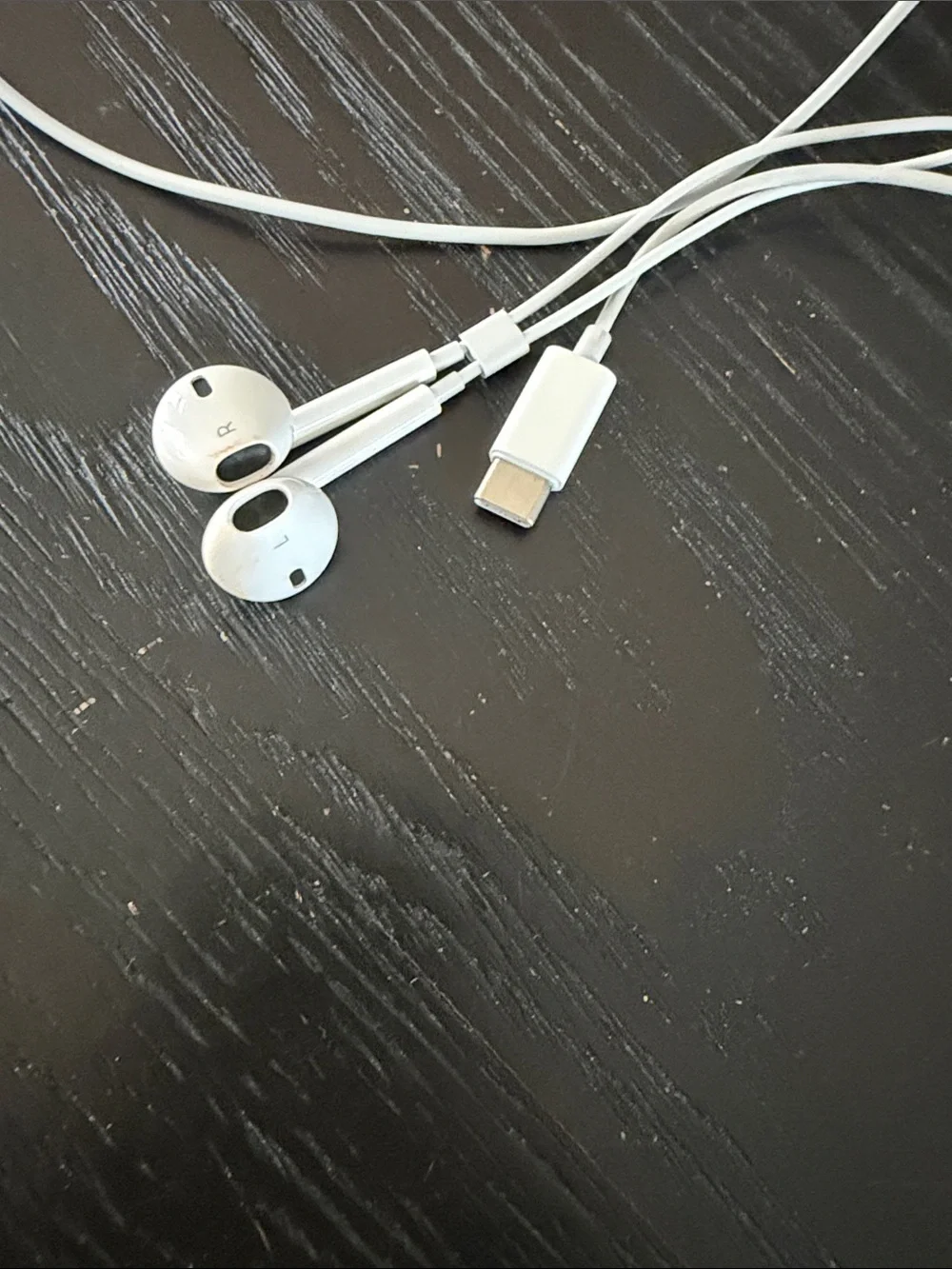 iPod earphones